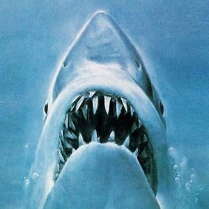 Meet your Posher, Samuel